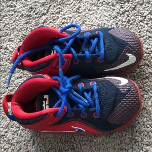 Lebron shoes